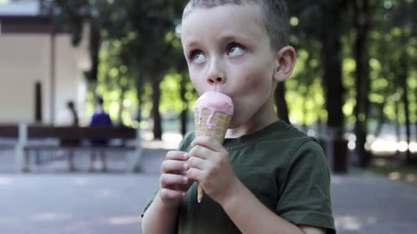 Roztomilý Batole Zmrzlinu Dítě Špinavou Tváří Jíst Zmrzlinu Parku Teplý — Stock video