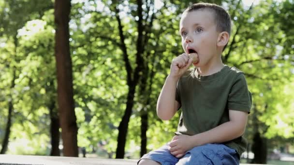 Lindo Niño Pequeño Comiendo Helado Niño Con Cara Sucia Comiendo — Vídeos de Stock