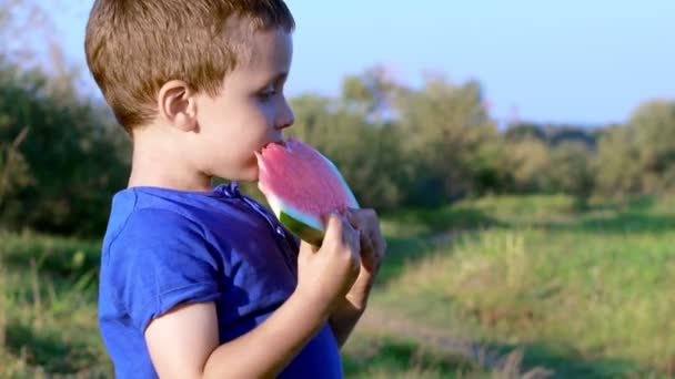 庭でスイカを食べる3歳の子供 汚い顔 幸せと感情的な子供 ジューシーなスイカ — ストック動画