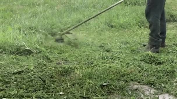 Werknemer Maait Hoog Gras Met Elektrische Benzine Gazon Trimmer Gereedschappen — Stockvideo