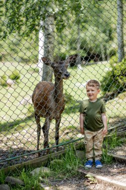 Hayvanat bahçesinde geyiğin yanında bir çocuk. Küçük çocuk parktaki küçük geyiğe bakıyor..