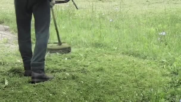 Trabalhador Cortando Grama Alta Com Elétrico Cortador Grama Gasolina Ferramentas — Vídeo de Stock