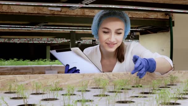 Mujer Joven Biotecnóloga Que Utiliza Tableta Para Comprobar Calidad Cantidad — Vídeo de stock