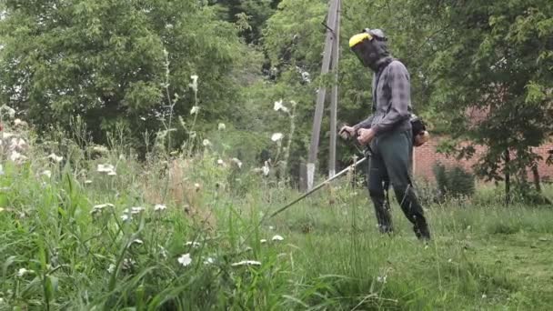 Munkás Magas Füvet Nyír Elektromos Vagy Benzines Fűnyíróval Kertészeti Eszközök — Stock videók