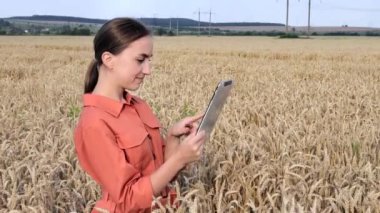 Beyaz Agronomist mısır gevreği tarlasını kontrol ediyor ve tabletteki buluta veri gönderiyor. Akıllı tarım ve dijital tarım kavramı. Başarılı organik gıda üretimi ve yetiştirilmesi