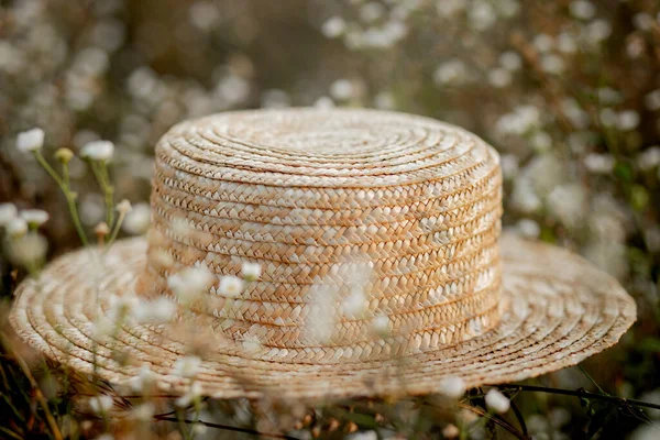 Hut Auf Wilden Weißen Blumen — Stockfoto