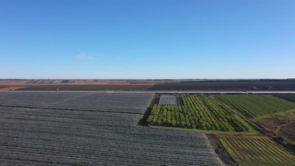 Vista Aérea Del Invernadero Plástico Huerto Manzanas Cultivo Plantas Agricultura — Vídeos de Stock