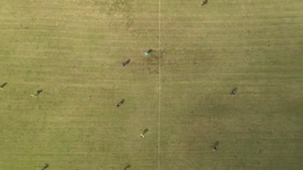 サッカーの試合の始まり サッカーの空中ショットは 上からの眺めと一致します — ストック動画
