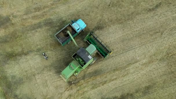 Combiner Moissonneuse Batteuse Décharge Grain Dans Camion Benne Déchargement Des — Video