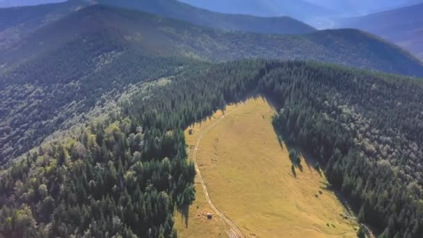 Luchtfoto Van Bergketen Diep Bos — Stockvideo