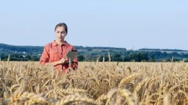 Agronomist tahıl tarlasını kontrol ediyor ve tabletten bulut veri gönderiyor.