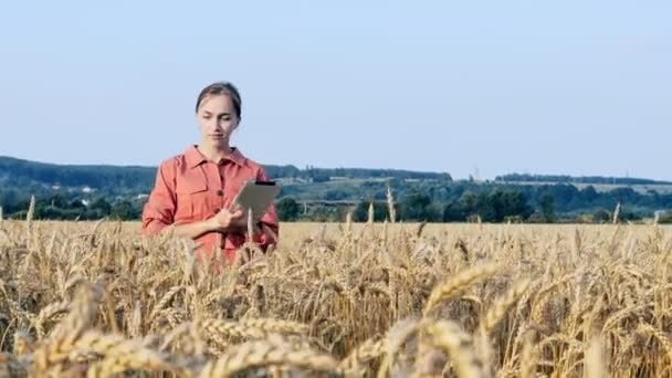 Agronomista sprawdzający pola zbóż i wysyłający dane do chmury z tabletu. — Wideo stockowe