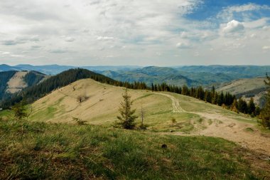 Karpat Dağları manzaralı tepe tepesi yaz mevsimi dramatik hava zamanı bulutlu mavi gökyüzü arkaplanı.