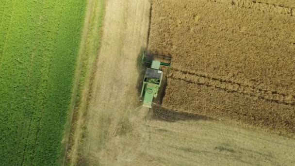 Combinar Cosechadora Recoge Cosecha Trigo Máquinas Agrícolas Que Trabajan Tierras — Vídeos de Stock