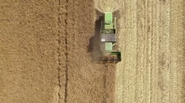 Hasat makinesi buğday mahsulünü topluyor. Tarım makineleri hasat sırasında tarım arazilerinde çalışıyor. Çiftçilik kavramı. Üst görünüm.