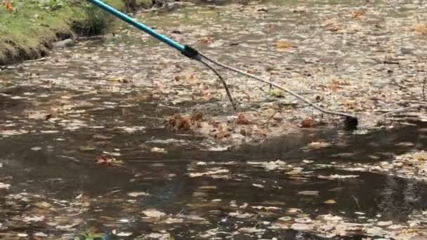 Munkások Tavat Takarítják Parkban Lehajlása Levelekről Hálóval — Stock videók