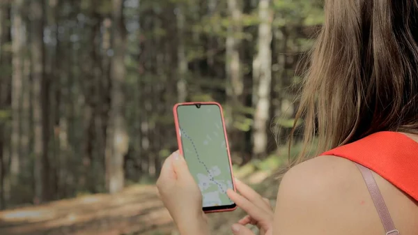 Woman standing in middle of forest, using navigation app on smartphone, following route with help of map, looking at device screen, using smartphone navigation while losing yourself in forest