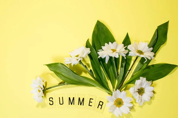 テキスト黄色の背景に文字やフィールドカモミールの花から夏 グリーティングカードフラットレイコピースペースコンセプトこんにちは夏 — ストック写真