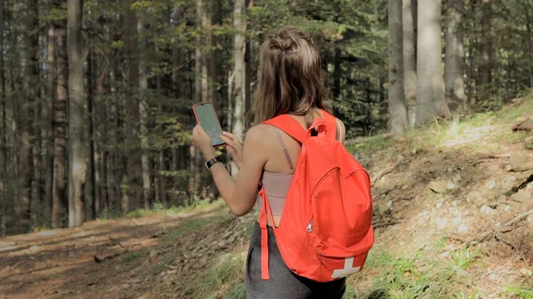 Woman standing in middle of forest, using navigation app on smartphone, following route with help of map, looking at device screen, using smartphone navigation while losing yourself in forest