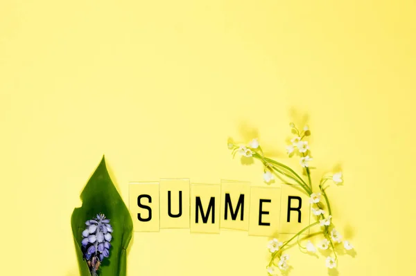 Text Sommer Aus Buchstaben Und Feld Kamillenblüten Auf Gelbem Hintergrund — Stockfoto