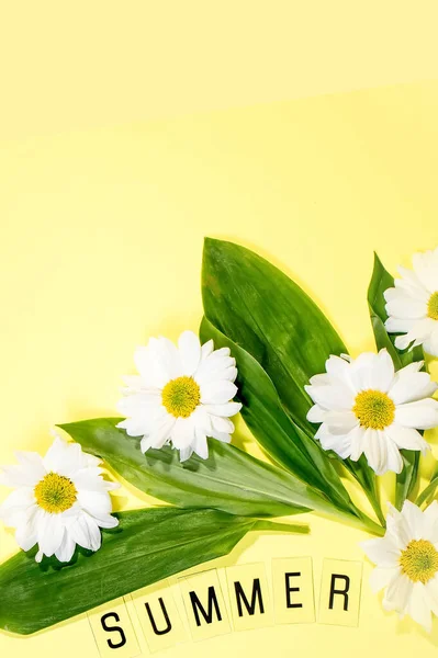 Texte Été Partir Lettres Fleurs Camomilles Champ Sur Fond Jaune — Photo