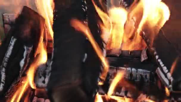 Bonfire Brandende Bomen Nachts Bonfire Branden Fel Warmte Licht Kamperen — Stockvideo