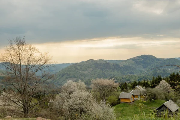 Vackert Sommarlandskap Village Nära Karpaterna Ukraina Europa — Stockfoto