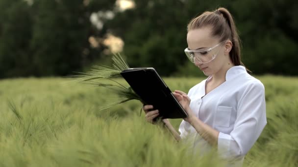 Jovem Agricultora Vestindo Roupão Branco Está Verificando Progresso Colheita Tablet — Vídeo de Stock