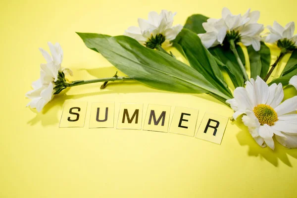 Text Summer Från Bokstäver Och Fält Kamomill Blommor Gul Bakgrund — Stockfoto