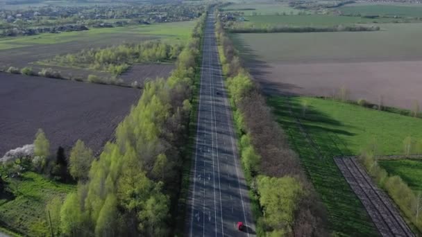 日当たりの良い朝に木々や畑に沿って空の道路に沿って運転車の空中ビュー レンタカー 保険のコンセプト — ストック動画