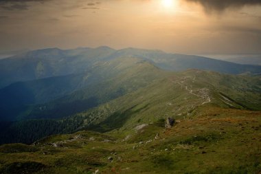 Karpatlar 'ın yaz sabahı dağlık arazisi. Vahşi bakire Ukrayna doğasının güzelliği. Huzur.