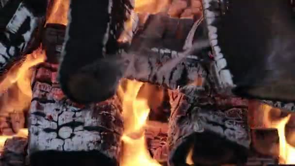 Oheň Hoří Stromy Noci Táborák Hoří Jasně Teplo Světlo Táboření — Stock video