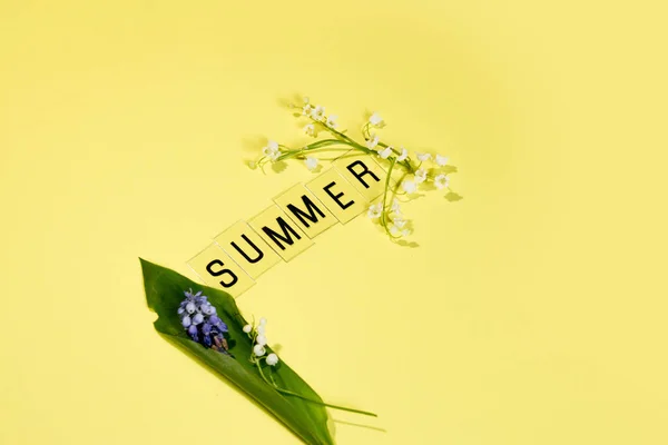 Text Summer Från Bokstäver Och Fält Kamomill Blommor Gul Bakgrund — Stockfoto