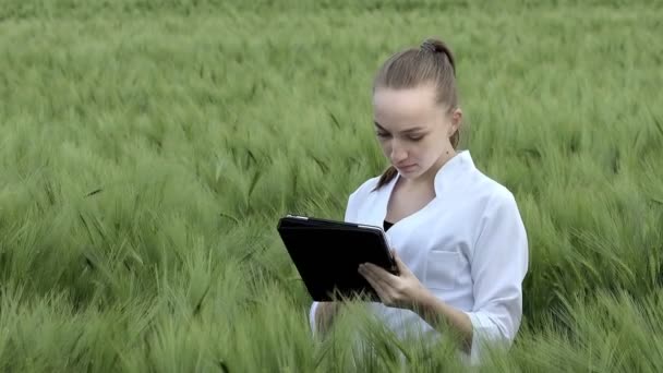身穿白色浴衣的年轻女农民正在绿色麦田的一块石碑上检查收获进度 小麦的新品种正在生长 农业和农场概念 — 图库视频影像