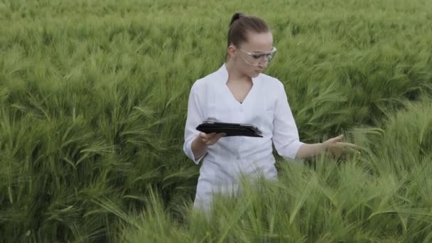 Jonge Vrouwelijke Boer Met Witte Badjas Controleert Voortgang Van Oogst — Stockvideo
