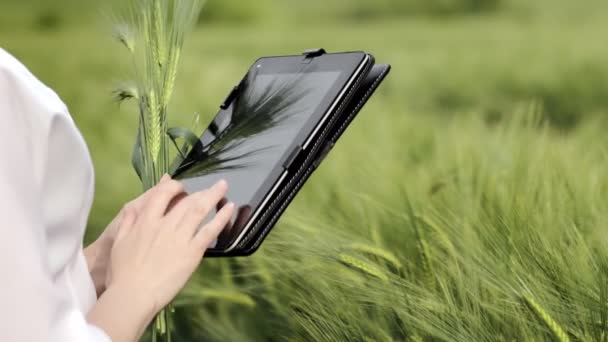 Agronomist Met Een Tablet Het Veld Vrouwelijke Handen Met Een — Stockvideo