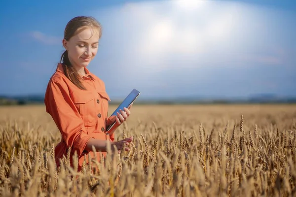 Γυναίκα καυκάσιος τεχνολόγος γεωπόνος με tablet υπολογιστή στον τομέα του σιταριού τον έλεγχο της ποιότητας και της ανάπτυξης των καλλιεργειών για τη γεωργία. Σχέδιο γεωργίας και συγκομιδής. — Φωτογραφία Αρχείου