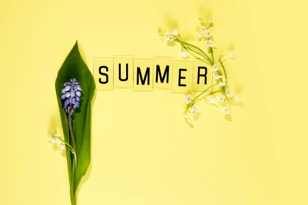 Text Summer Från Bokstäver Och Fält Kamomill Blommor Gul Bakgrund — Stockfoto