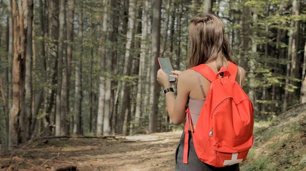 Vrouw Het Midden Van Het Bos Met Behulp Van Navigatie — Stockfoto