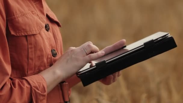 Caucasian Agronomist Controleert Het Veld Van Granen Stuurt Gegevens Naar — Stockvideo