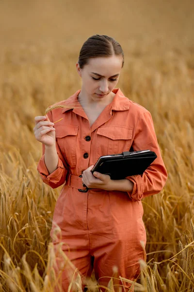 Woman Caucasian Technologist Agronomist Tablet Computer Field Wheat Checking Quality — Stock Photo, Image