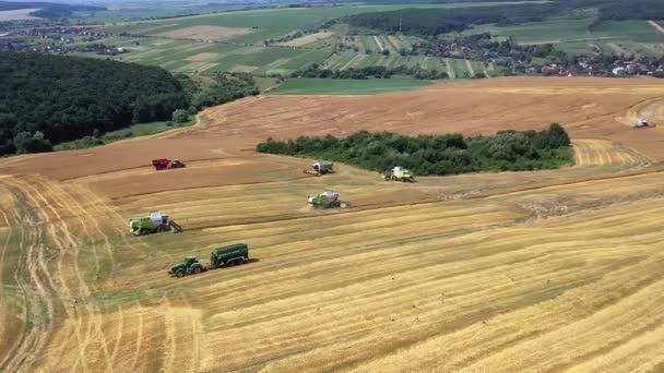 Viele Mähdrescher Ernten Feldfrüchte Aus Der Luft — Stockvideo