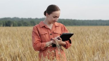 Beyaz Agronomist mısır gevreği tarlasını kontrol ediyor ve tabletteki buluta veri gönderiyor. Akıllı tarım ve dijital tarım kavramı. Başarılı organik gıda üretimi ve yetiştirilmesi