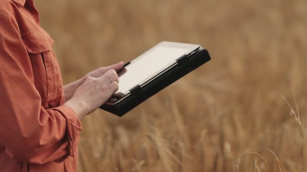 캅카스의 농학자는 곡물밭을 확인하고 판에서 정보를 클라우드로 보낸다 스마트 디지털 — 비디오