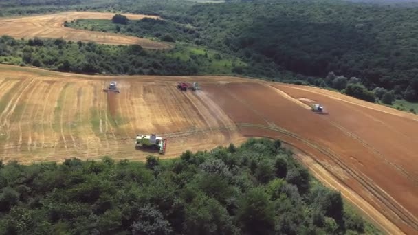 우크라이나 리비우 2020 Agricultural Field Aerial View 작물을 수확하는 압착기 — 비디오