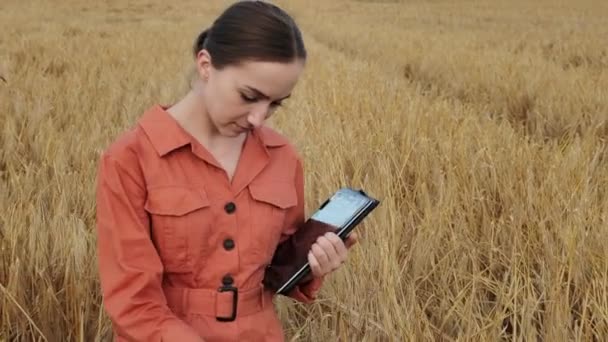 Agronomiste Caucasien Vérifiant Domaine Des Céréales Envoie Des Données Nuage — Video