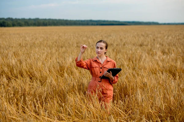 Agronomist holding test tube with barley grains in field, closeup. Cereal farming, oncept of wheat testing.