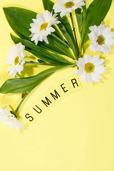 Text Summer Från Bokstäver Och Fält Kamomill Blommor Gul Bakgrund — Stockfoto