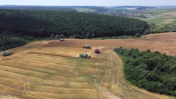 Lviv Oekraïne Juli 2020 Veel Combine Harvesters Oogst Gewassen Een — Stockvideo