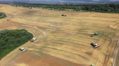 Lviv, Ukrayna - 13 Temmuz 2020: Birçok birleşik hasatçı tarım arazisi havacılık manzarasında mahsul hasat ediyor.